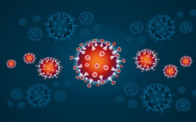 Niedersächsische Verordnung über Maßnahmen gegen die Ausbreitung des Corona-Virus SARS-CoV-2 (Niedersächsische Corona-Verordnung) vom 07.10.2020